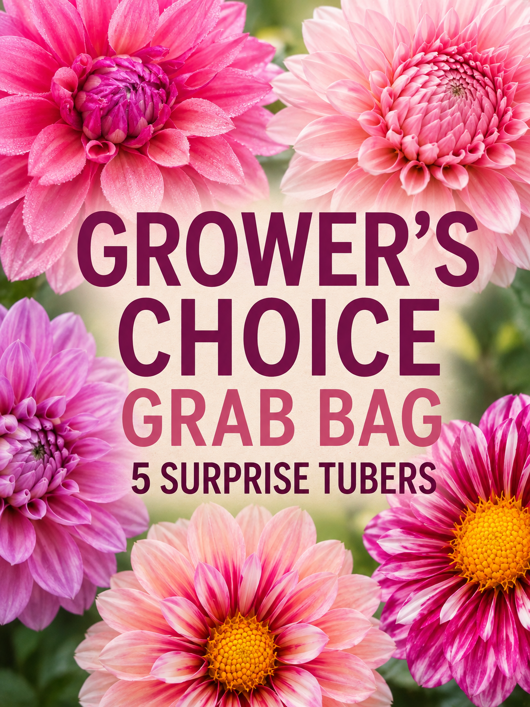 Grower's Choice Grab Bags